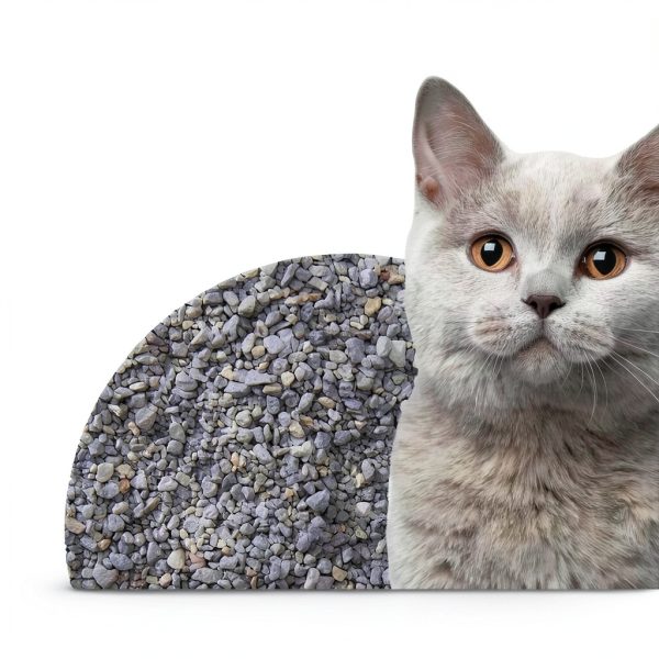 Boxiecat Probiotic Cat Litter Odor Control Dust Free-4