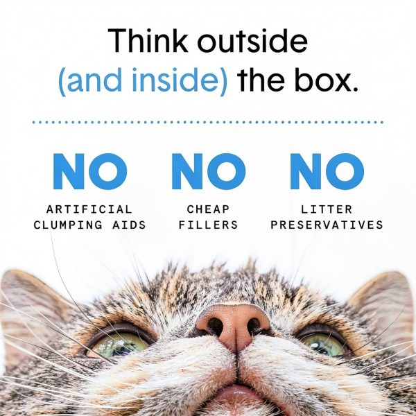 Boxiecat Probiotic Cat Litter Odor Control Dust Free-6