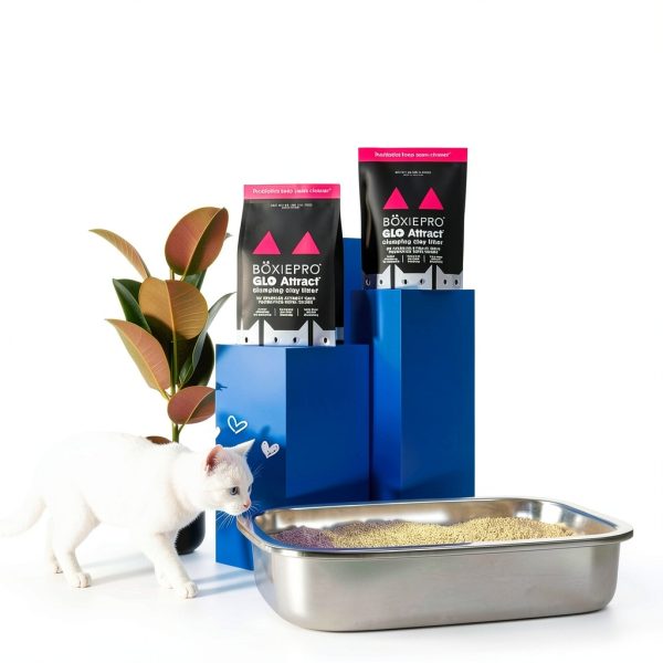 Cat Litter Boxiecat Glo 30 Day Odor Control-3