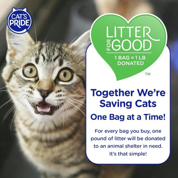 Cat's Pride Antibacterial Clumping Litter Odor Control-6