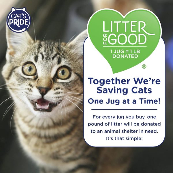 Cat's Pride Litter Lightweight Odor Control for Cats-6