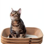 Kitty Sift Disposable Litter Box Sifting Kit for Cats-0