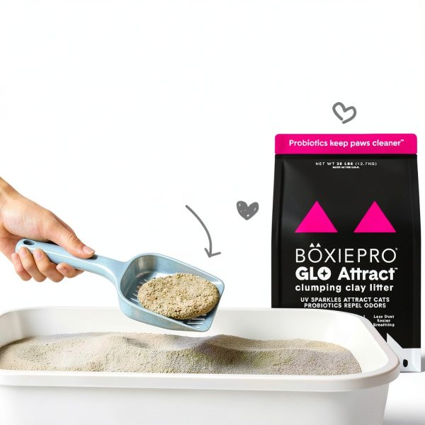 Cat Litter Boxiecat Glo 30 Day Odor Control-4