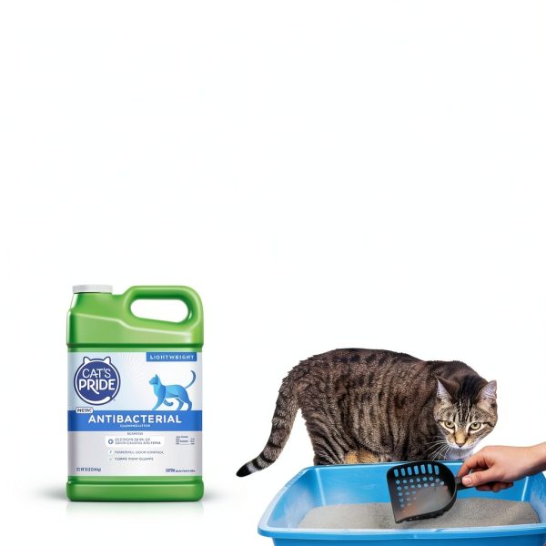 Cat's Pride Antibacterial Clumping Litter Odor Control-4