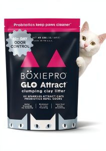 Cat Litter Boxiecat Glo 30 Day Odor Control-0