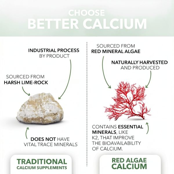 PlantFusion Calcium Magnesium Vegan Bone Formula-1